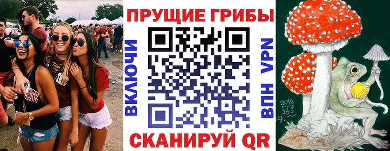 Купить закладки  Рошаль  Галлюциногенные грибы ЛСД 
